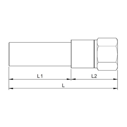 Transição Fêmea Bsp p ef Srd 11