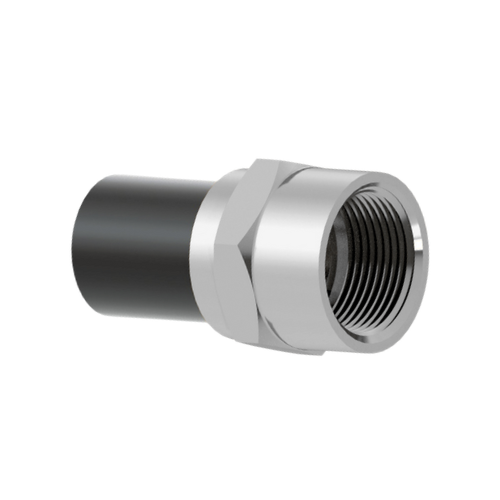 Transição Fêmea Bsp p ef Srd 11